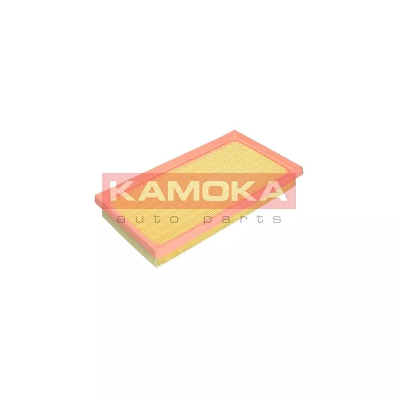 Filtre à air KAMOKA F250301 - Visuel 1