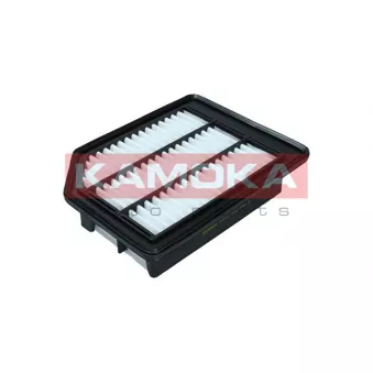 Filtre à air KAMOKA F253101