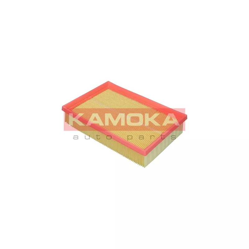 Filtre à air KAMOKA F256301 - Visuel 1