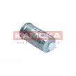 KAMOKA F305901 - Filtre à carburant