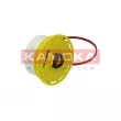 KAMOKA F320901 - Filtre à carburant