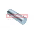 KAMOKA F323301 - Filtre à carburant