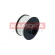 KAMOKA F324801 - Filtre à carburant
