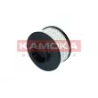 KAMOKA F324801 - Filtre à carburant
