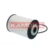 KAMOKA F325101 - Filtre à carburant