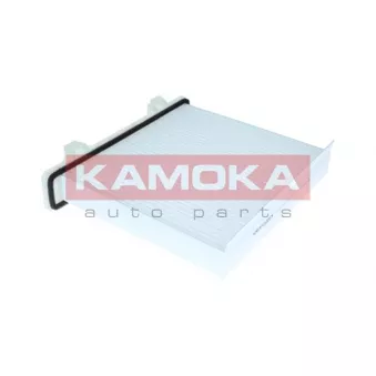Filtre, air de l'habitacle KAMOKA OEM XR500058D