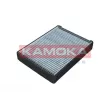 KAMOKA F516901 - Filtre, air de l'habitacle