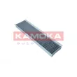 KAMOKA F520101 - Filtre, air de l'habitacle