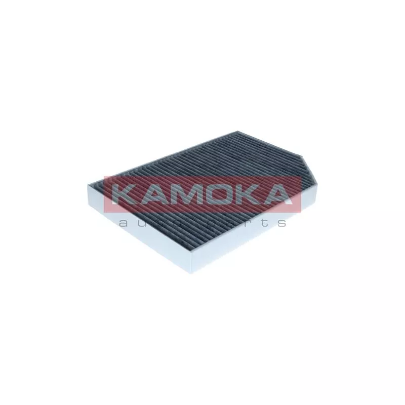 Filtre, air de l'habitacle KAMOKA F524901 - Visuel 2