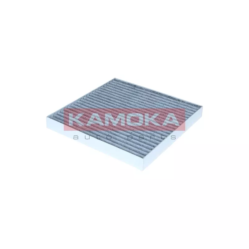 Filtre, air de l'habitacle KAMOKA F525101 - Visuel 1