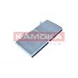 KAMOKA F527301 - Filtre, air de l'habitacle