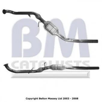 Catalyseur BM CATALYSTS BM80229H