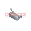 KAMOKA R8011 - Amortisseur de vibrations, courroie crantée