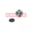 KAMOKA RC018 - Poulie roue libre, alternateur