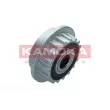 KAMOKA RC147 - Poulie roue libre, alternateur