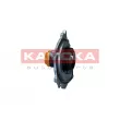 KAMOKA T0289 - Pompe à eau, refroidissement du moteur