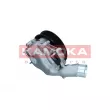 KAMOKA T0291 - Pompe à eau, refroidissement du moteur