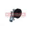 KAMOKA T0291 - Pompe à eau, refroidissement du moteur
