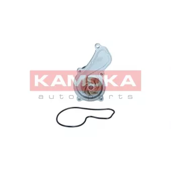 Pompe à eau, refroidissement du moteur KAMOKA OEM 19200RZP003
