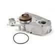 THERMOTEC D1F075TT - Pompe à eau