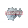 KAMOKA T0317 - Pompe à eau, refroidissement du moteur