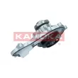 KAMOKA T0317 - Pompe à eau, refroidissement du moteur