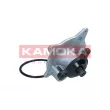 KAMOKA T0318 - Pompe à eau, refroidissement du moteur