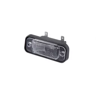 Feu éclaireur de plaque HELLA OEM 11025349