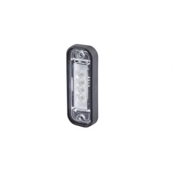 Feu éclaireur de plaque HELLA OEM 1012215