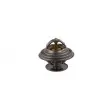 THERMOTEC D2MA001TT - Thermostat d'eau