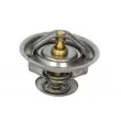 Thermostat d'eau THERMOTEC [D2RV003TT]