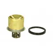 Thermostat d'eau THERMOTEC [D2VO004TT]