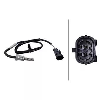 Capteur, température des gaz HELLA 6PT 010 376-291