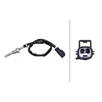 Capteur, température des gaz HELLA OEM 31293172