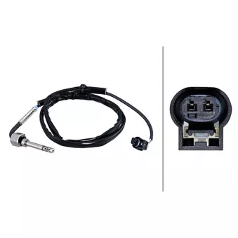 Capteur, température des gaz HELLA [6PT 010 376-491]