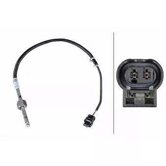 Capteur, température des gaz HELLA OEM A0009050232