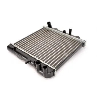 Radiateur, refroidissement du moteur THERMOTEC OEM 19010PWAG01