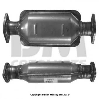 Catalyseur BM CATALYSTS OEM 289504X900