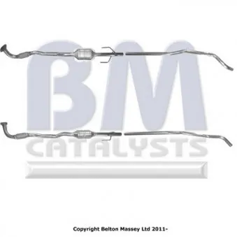 Catalyseur BM CATALYSTS BM80410H