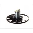 THERMOTEC D8W012TT - Ventilateur, refroidissement du moteur