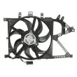 THERMOTEC D8X006TT - Ventilateur, refroidissement du moteur