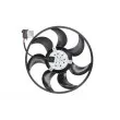 THERMOTEC D8X019TT - Ventilateur, refroidissement du moteur