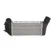 THERMOTEC DAC001TT - Intercooler, échangeur