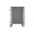 THERMOTEC DADA001TT - Intercooler, échangeur