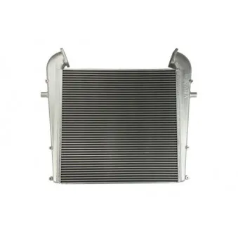 Intercooler, échangeur THERMOTEC DASC002TT pour SCANIA 3 - series 143 H/400 - 404cv