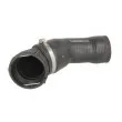 THERMOTEC DCB035TT - Durite de radiateur