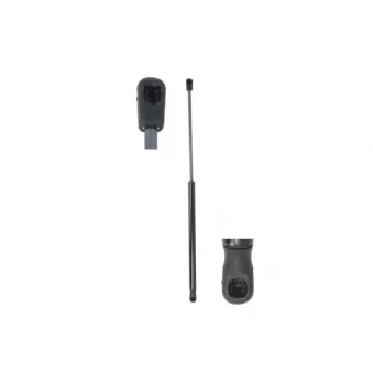 Vérin de hayon, de coffre MAGNUM TECHNOLOGY MGS0102 pour SEAT IBIZA 1.2 TDI - 75cv