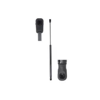 Vérin de hayon, de coffre MAGNUM TECHNOLOGY OEM 51248232873