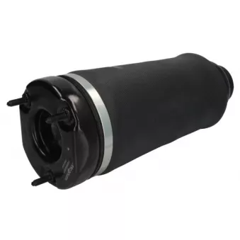 Ressort pneumatique, châssis MAGNUM TECHNOLOGY OEM A2513203113