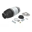 MAGNUM TECHNOLOGY MZW002MT - Ressort pneumatique, châssis